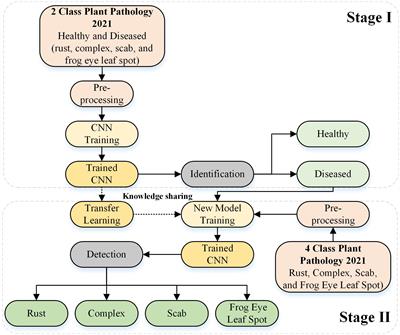 AppleLeafNet: a lightweight and efficient deep learning framework for diagnosing apple leaf diseases